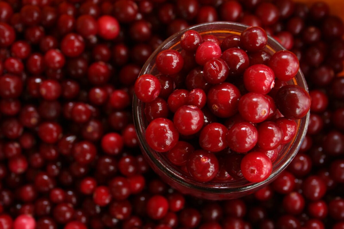 cranberry-bladder-health