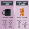 ECHINACEA iced teas