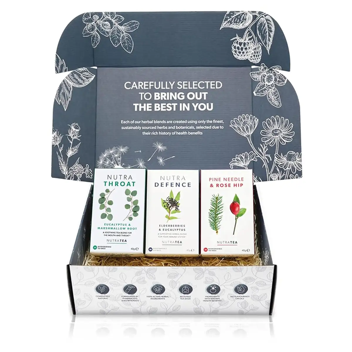 Winter Wellness Tea Gift Box