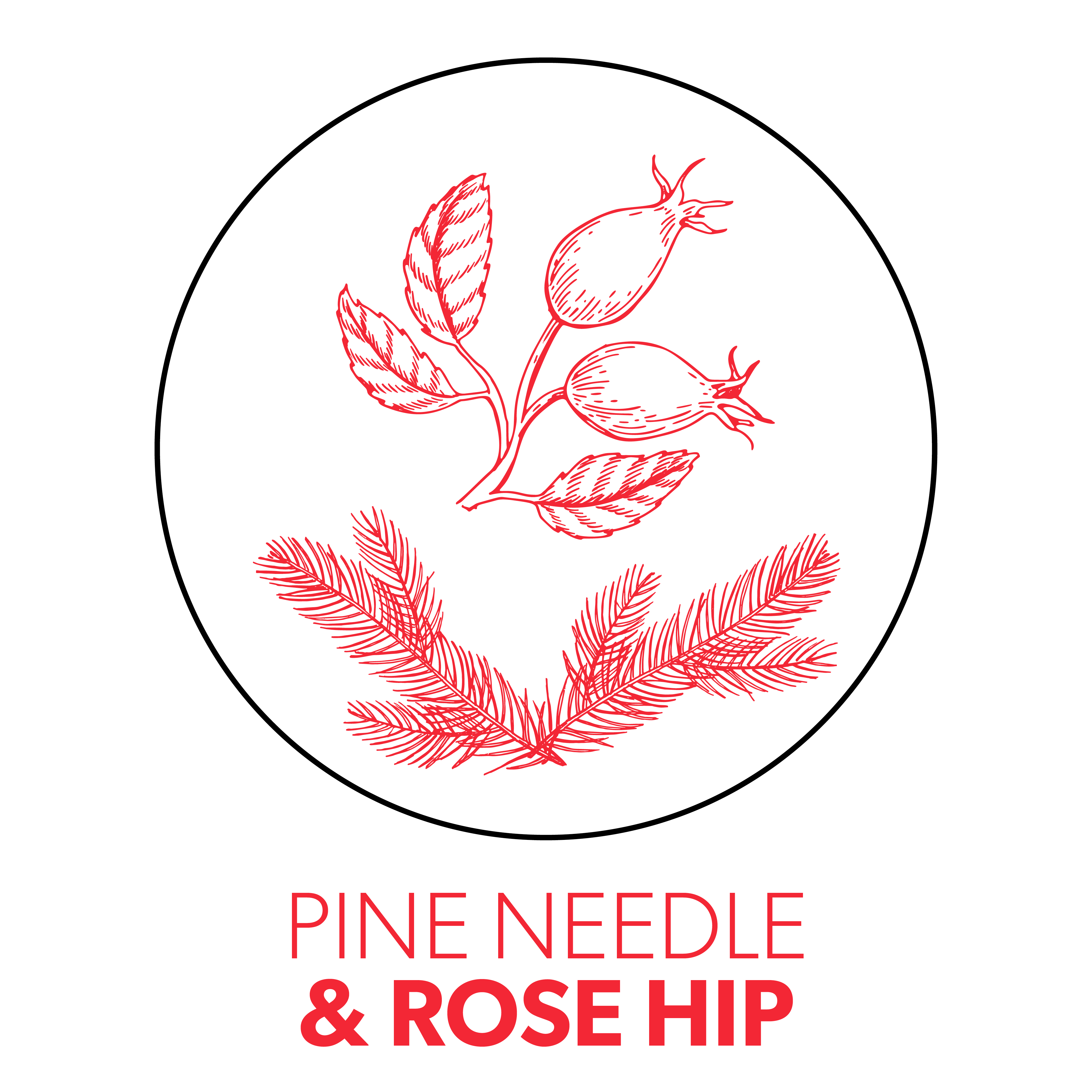 Pine Needle & Rose Hips