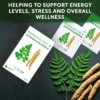 moringa leaf & ashwagandha tea benefits