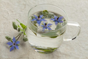 Mug & Flowers