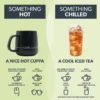 YERBA MATE ICED TEA