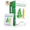 Moringa Leaf & Ashwagandha Tea - 20 Tea Bags