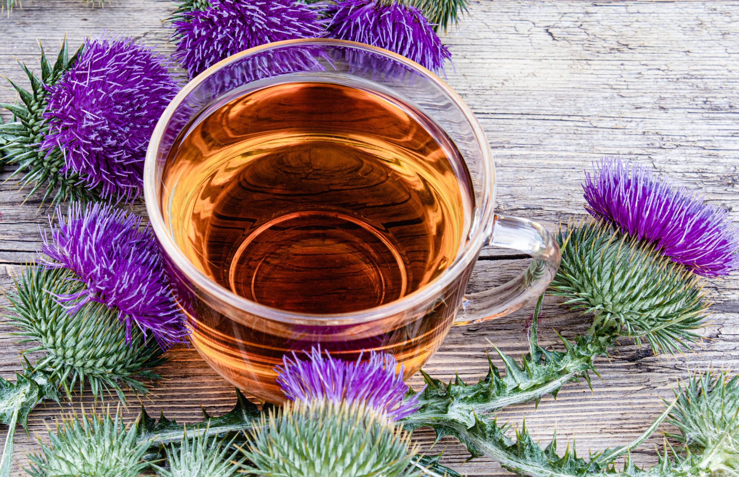 A cup of milk thistle herbal tea offering benefits for the liver