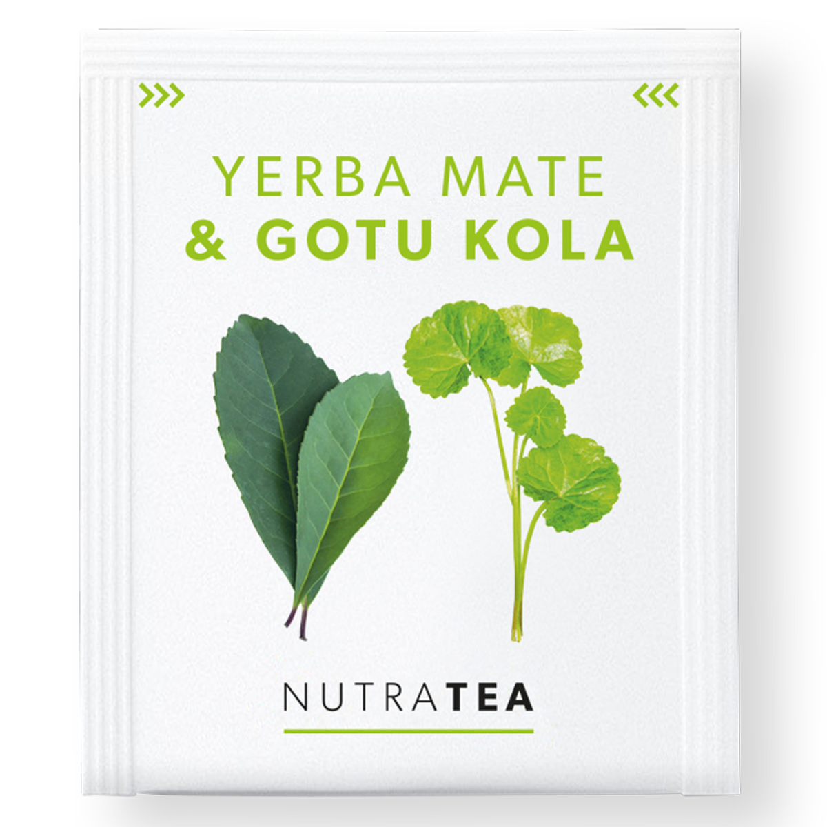 YERBA MATE & GOTU KOLA_TEA BAG Yerba Mate & Gotu Kola - Tea Sachet - Image 1