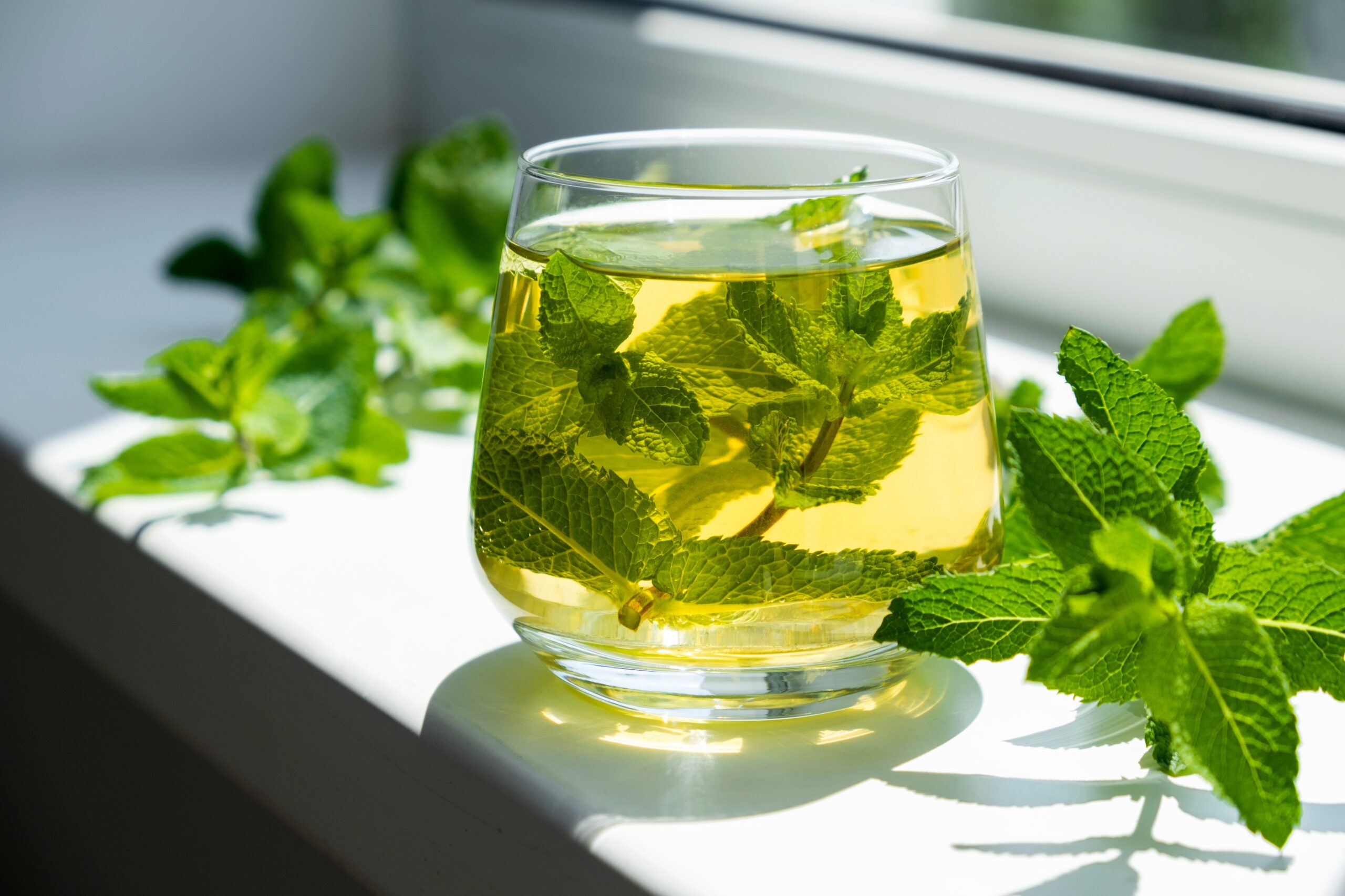 What Is Peppermint Tea Good For Evidence based 7 Benefits