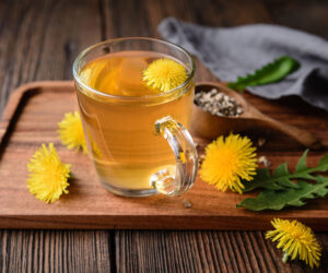 dandelion spring detox herb