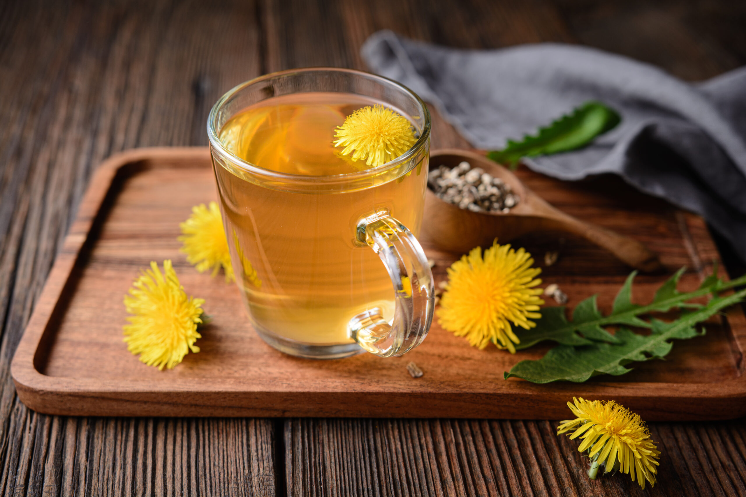 dandelion spring detox herb