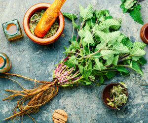 lemon balm tea benefits