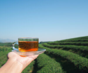 sustainable herbal tea, eco friendly wellness, natural herbal tea benefits, sustainable lifestyle choices, environmentally friendly tea, sustainable wellness habits, eco friendly tea, herbal tea sustainability