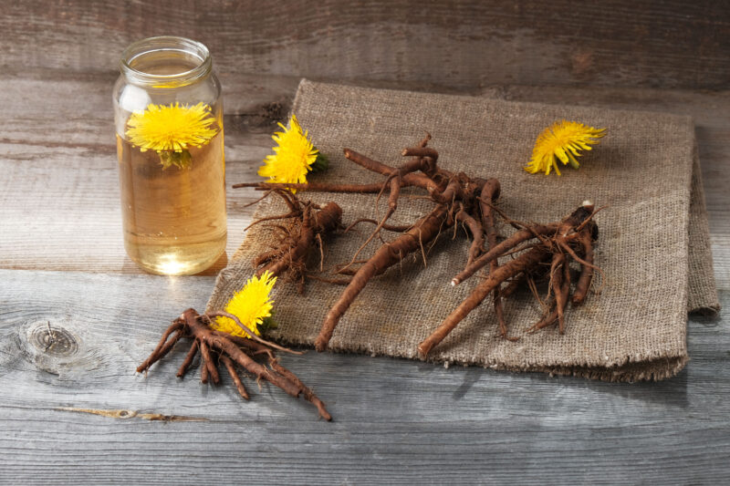 dandelion herbal tea for bloating