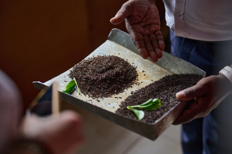 plastic free tea bags