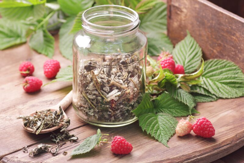 raspberry leaf tea during pregnancy