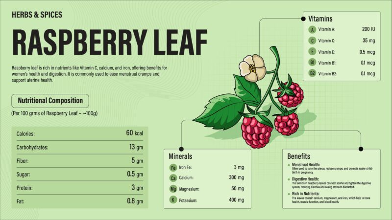 Raspberry Leaf benefits