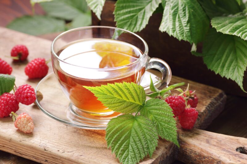 Raspberry leaf tea made from Rubus idaeus leaves